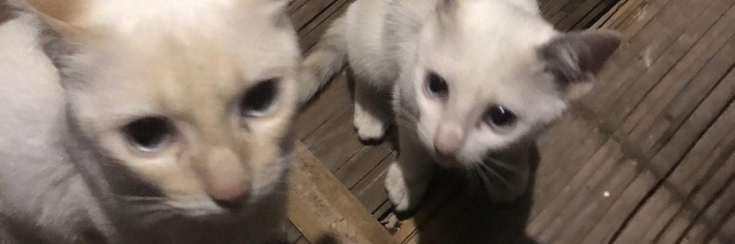 helloninn's profile banner image