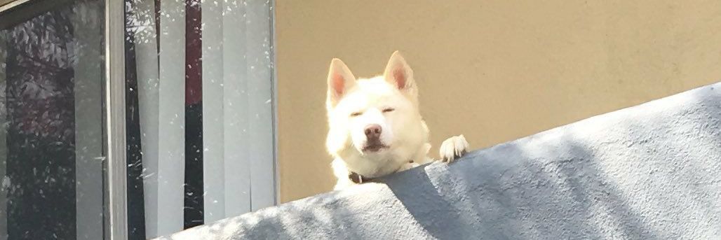 Fla 🍍 (FLAUDIA) banner