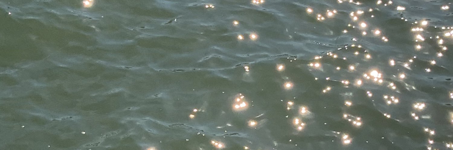 Im banner