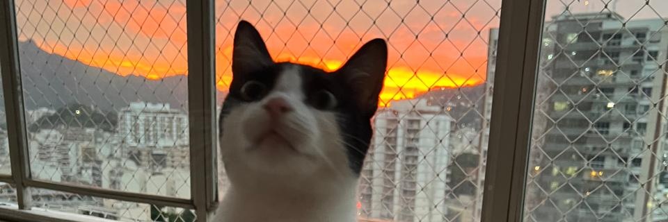 Arkeuze's profile banner image