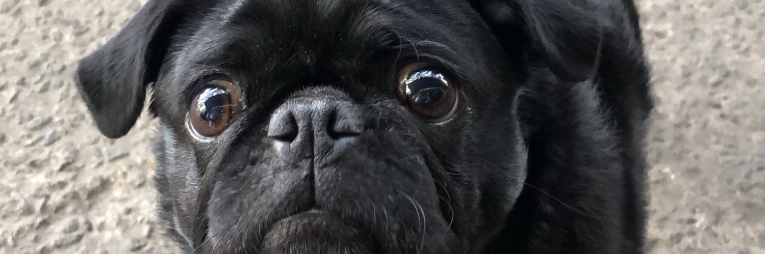 margiebehar's profile banner image