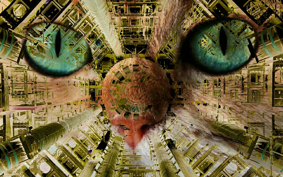 CERNcat's profile banner image
