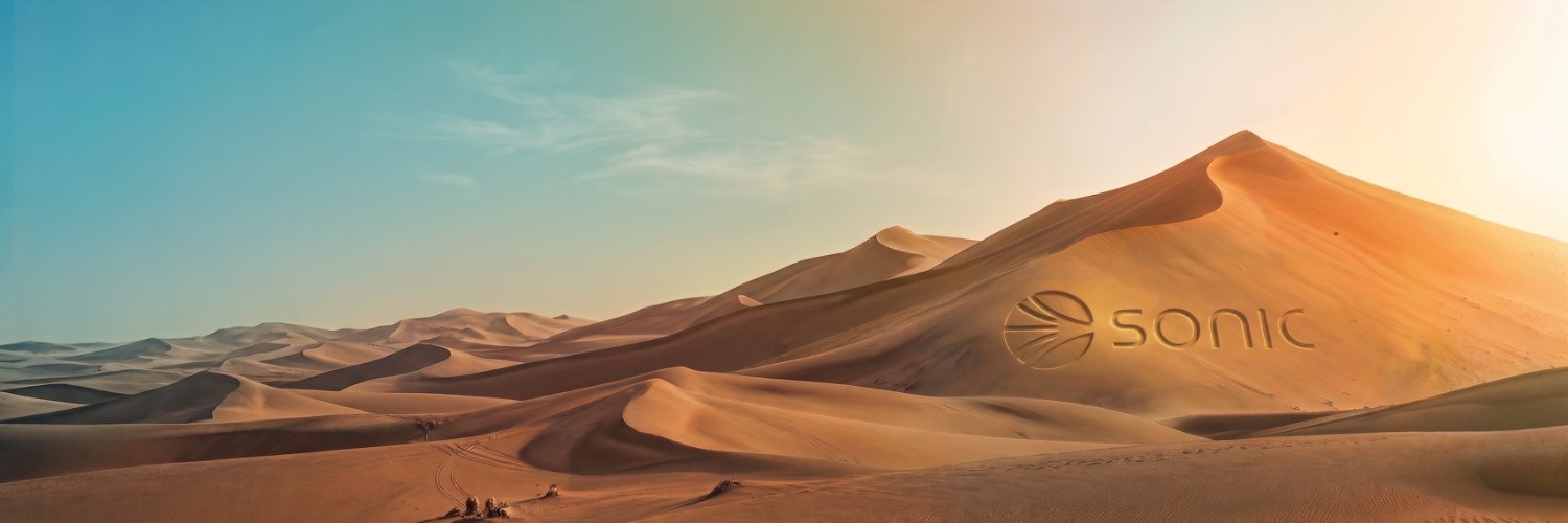 RandomBinarySEQ's profile banner image