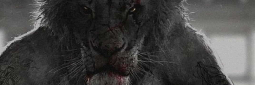 Dav Troïlus banner