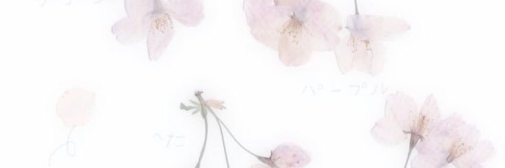 𝗄𝖺𝗍𝖾 ᢉ𐭩 banner
