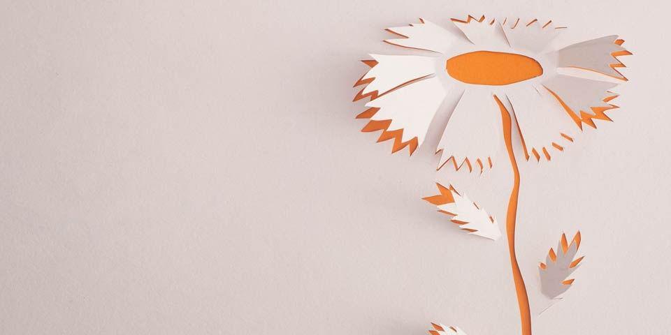 Kamalkrr's profile banner image