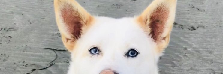 fernandaduh's profile banner image