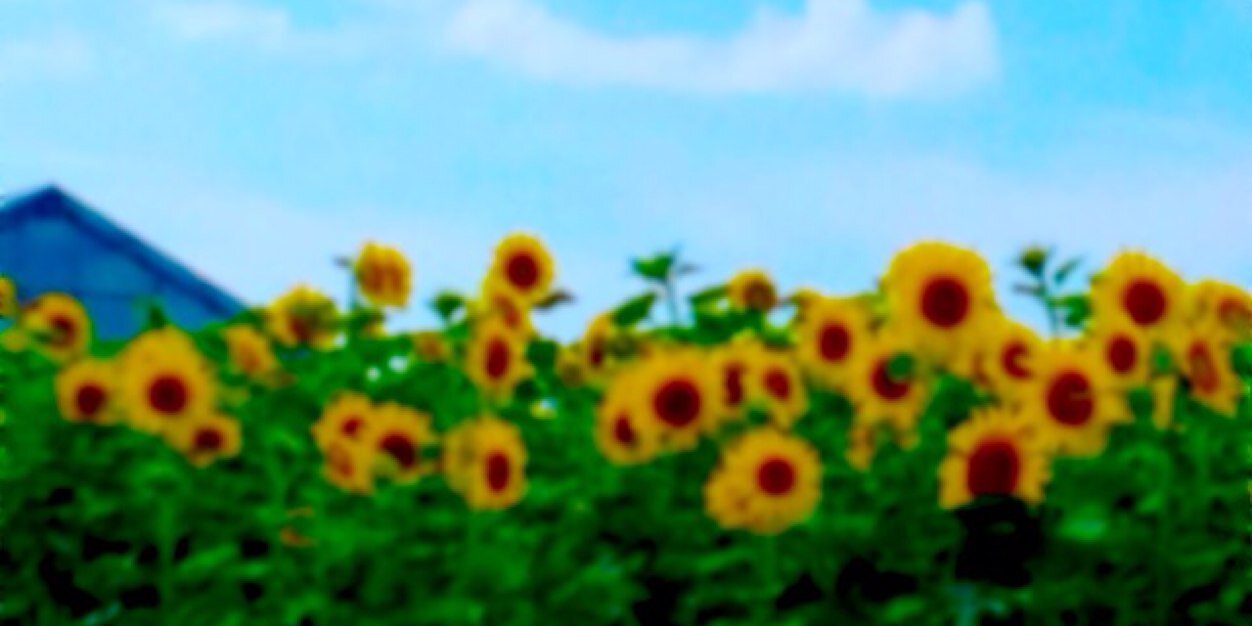 16g3b's profile banner image
