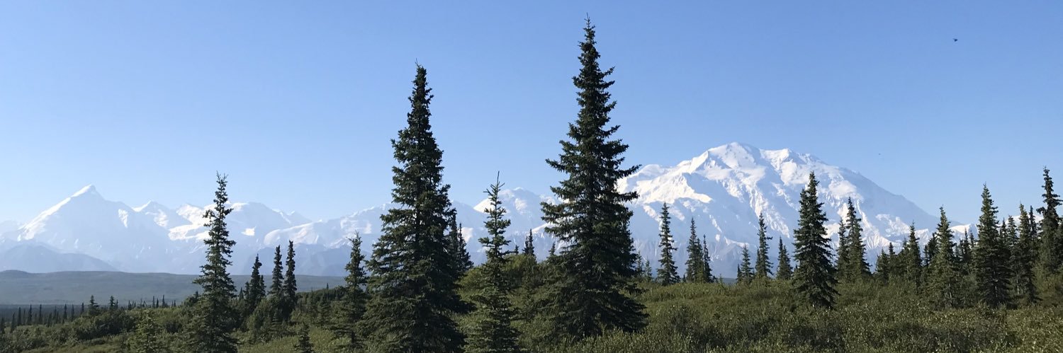 MELISSPINTO's profile banner image