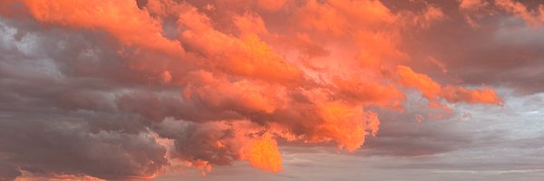 samuelgil Profile Banner