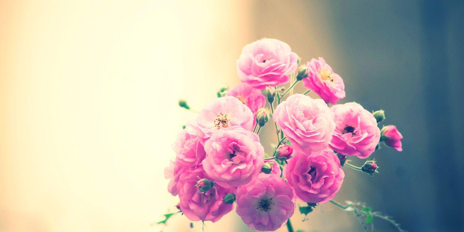 isnaineni's profile banner image