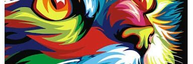 marshirooo's profile banner image