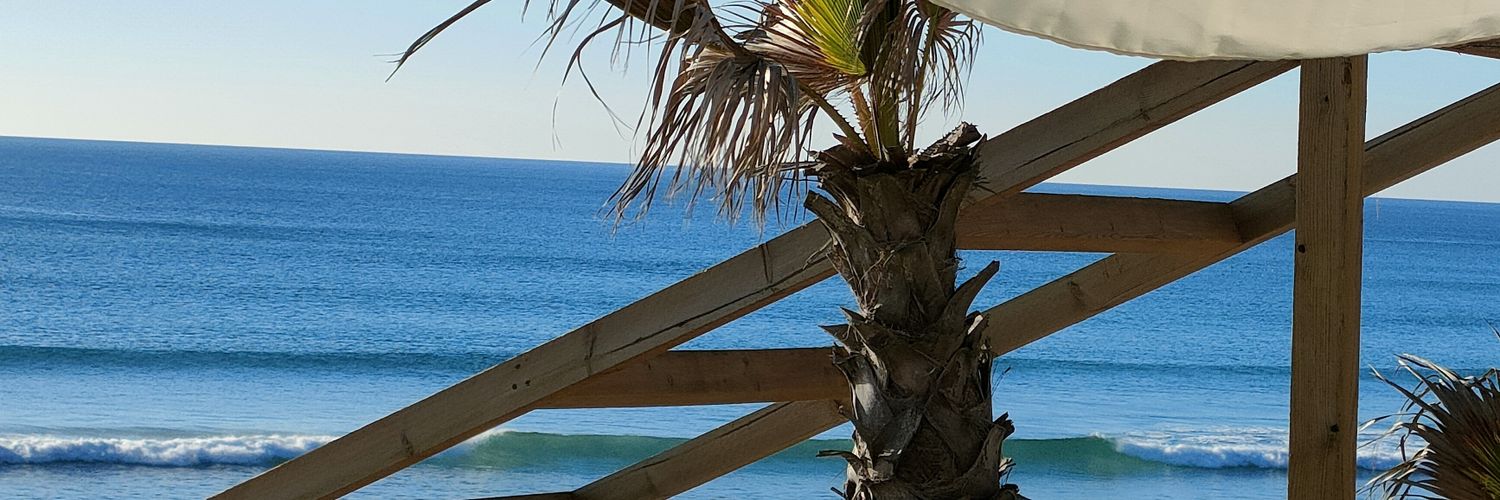 Ana🍀🇵🇹 banner