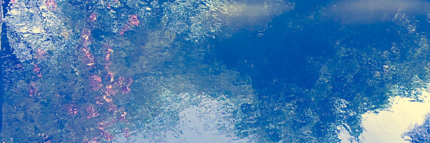 parulshhh's profile banner image