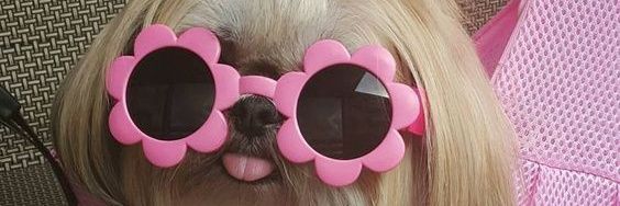 Chiki baby banner