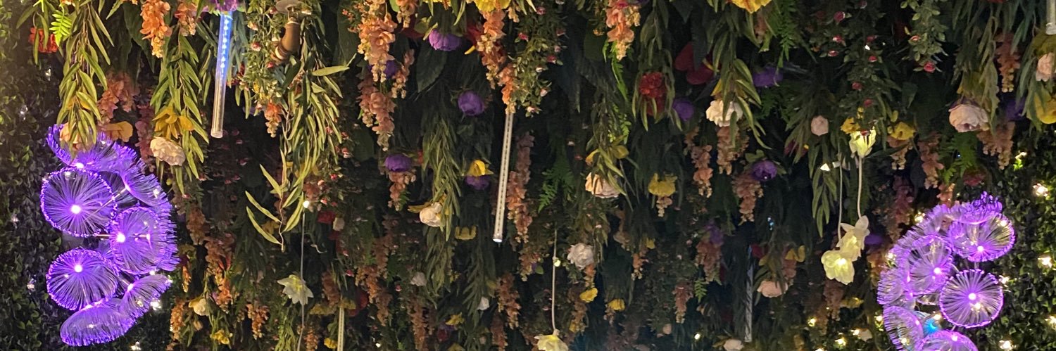 CosmicMerrmaid's profile banner image