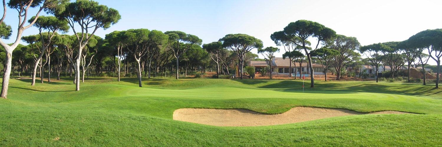 Creative Golf Design banner