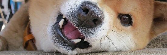 letterforSTU's profile banner image