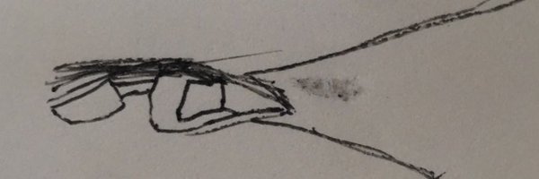 MaximumDMG's profile banner image