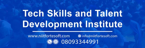 niitfortesoft Profile Banner