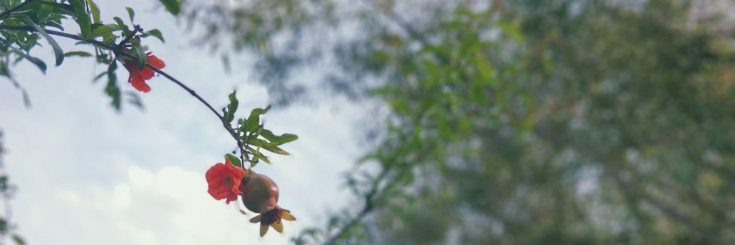 cspatki's profile banner image