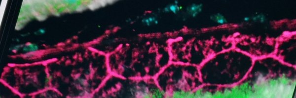 JennysueKasiah Profile Banner