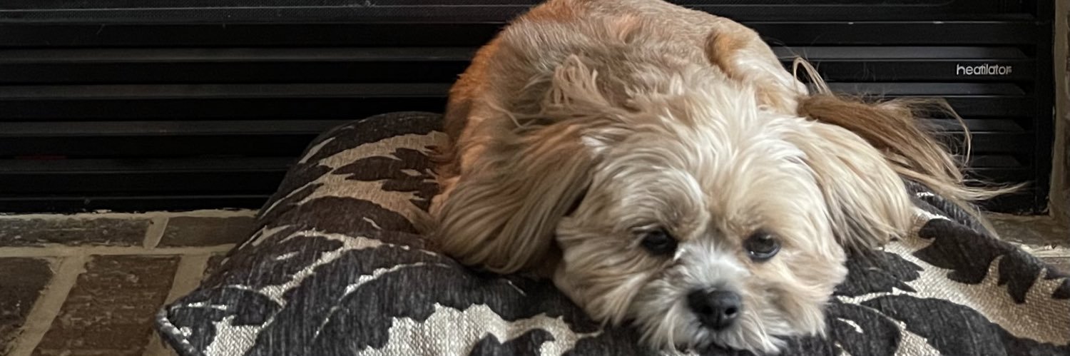 Britney4Real Speaking into a Void banner