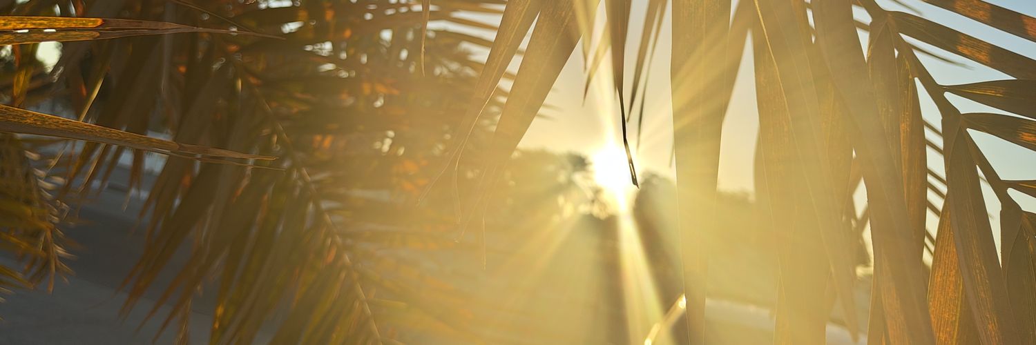 Tedborowski's profile banner image