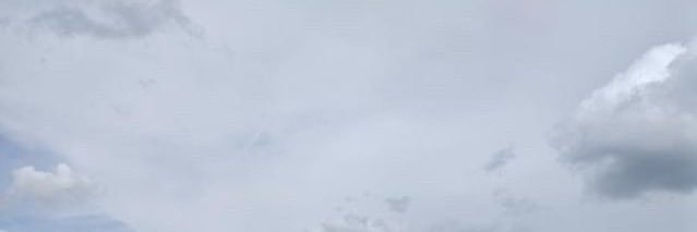 Wallymash's profile banner image
