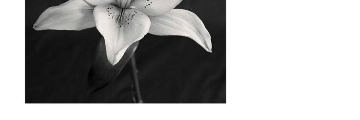 suhyunnr's profile banner image