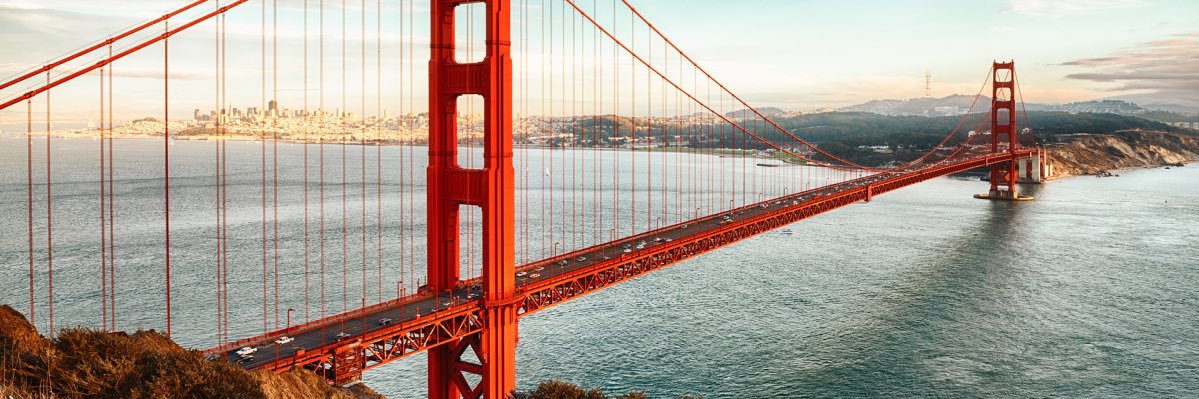 SavvySwiss's profile banner image