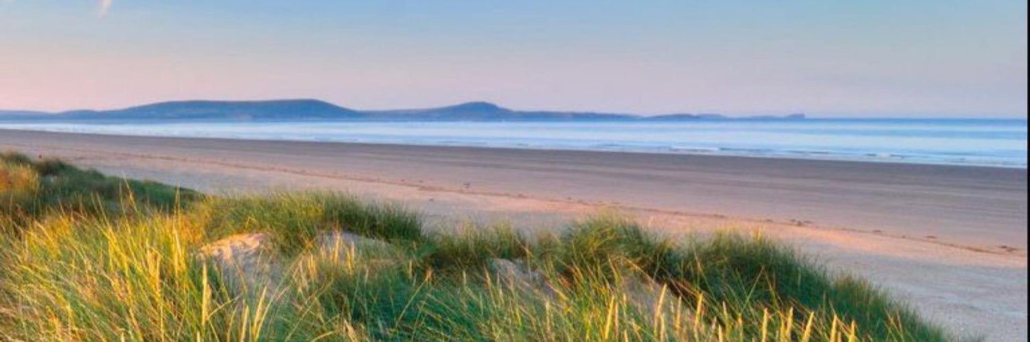 Carmarthenshire MEAS 🧡 banner