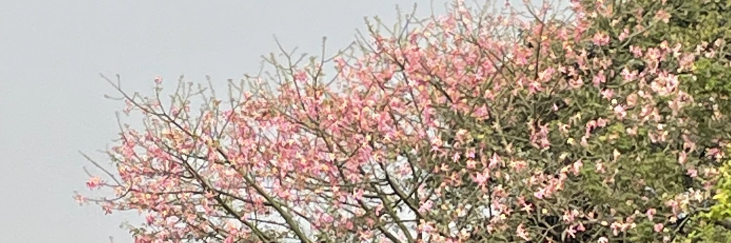 pragnya16's profile banner image