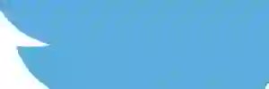反体制派 banner