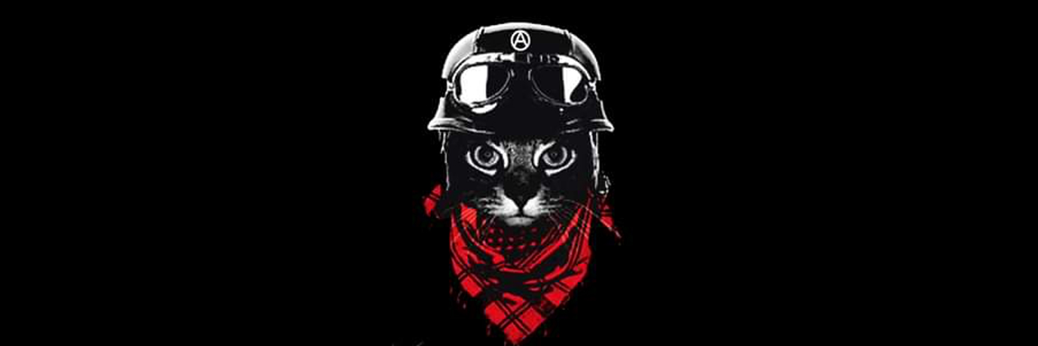 Spider_Jerus@lem Ⓐ ⏚ 🏴🇵🇸 🇳🇨 🐈‍⬛🔻✊ 🕷🕸🏴‍☠️ banner