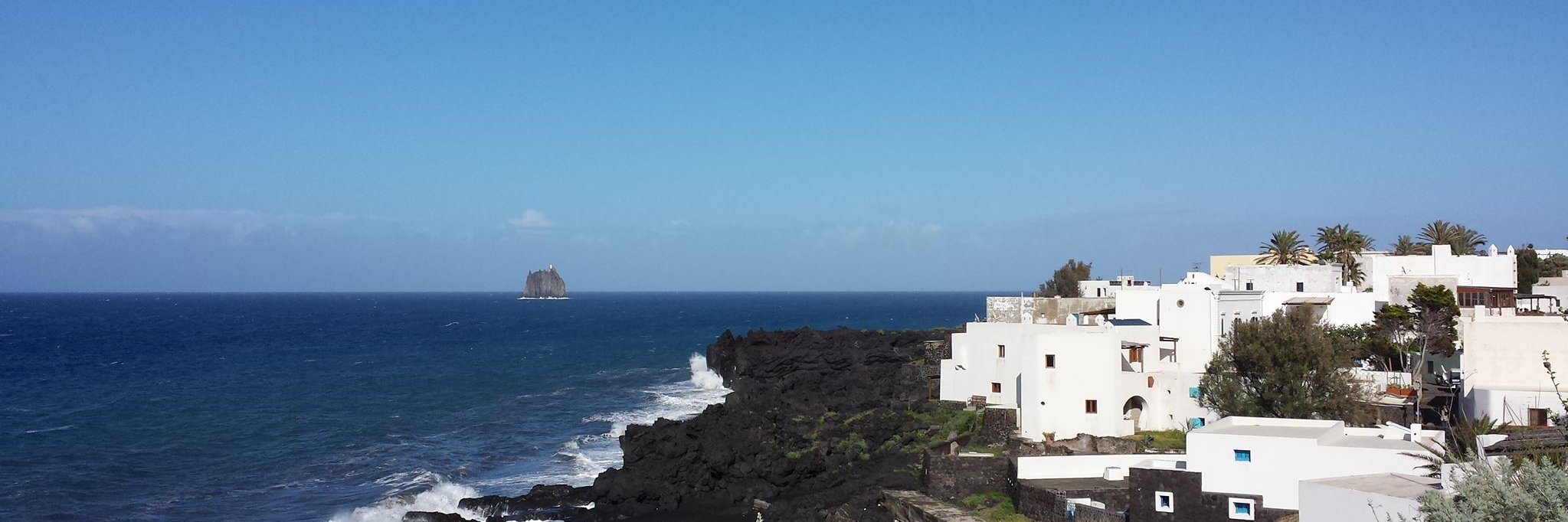 Francesco Randi banner