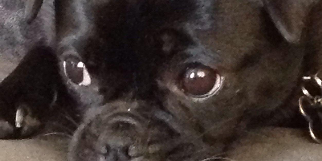twittingheck's profile banner image