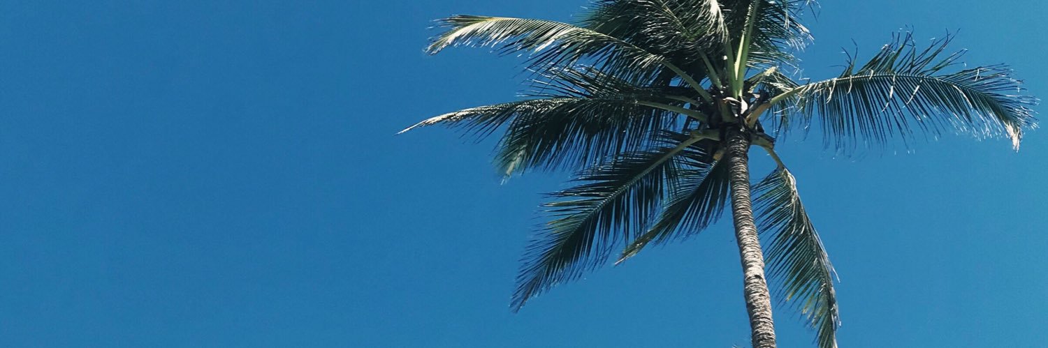 shenalburkey's profile banner image