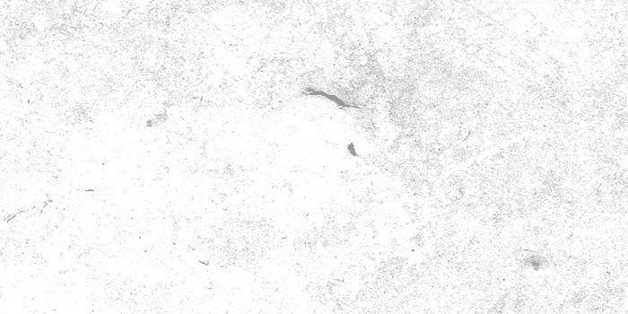 floratalitha's profile banner image