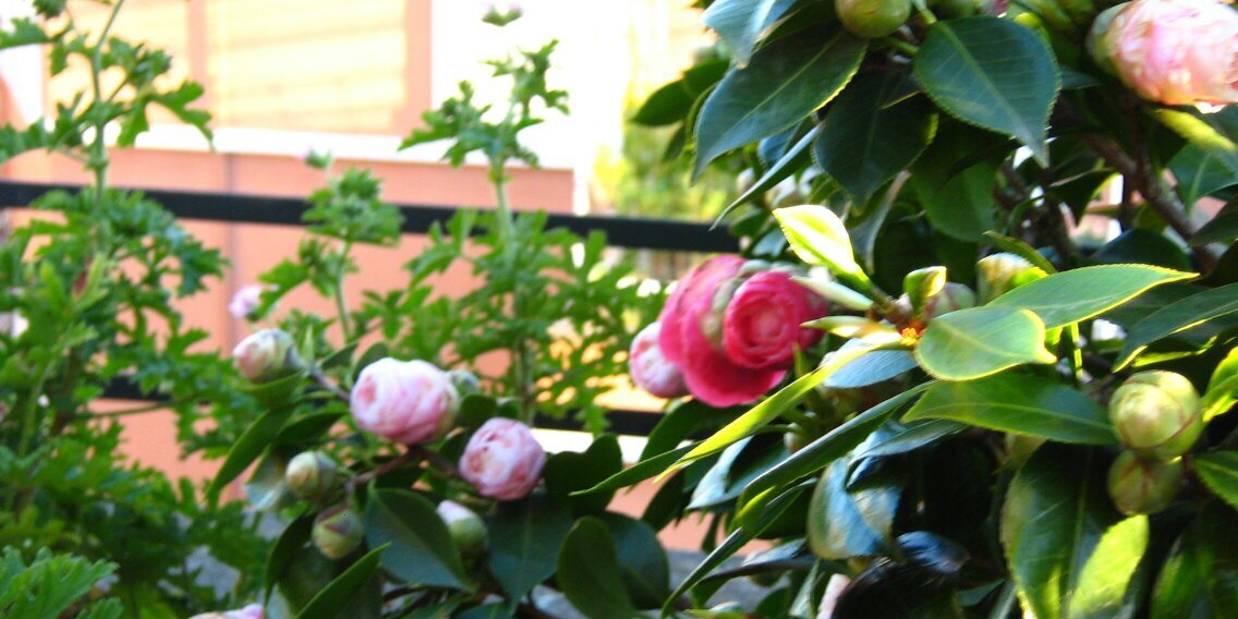 annabartole's profile banner image