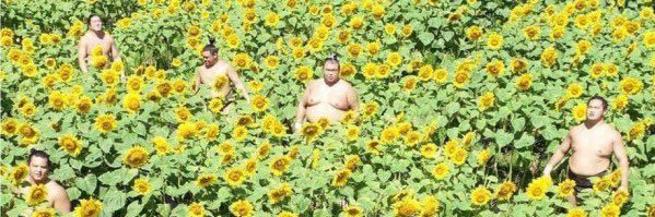momy1432's profile banner image
