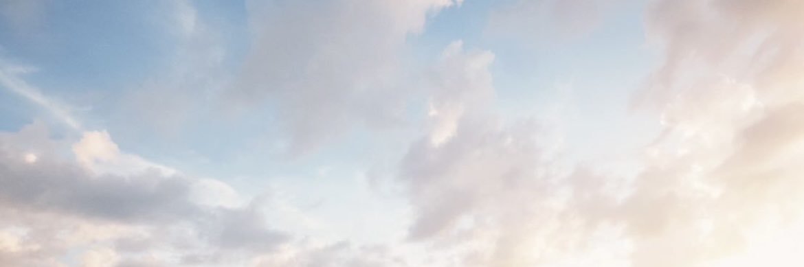 明智 banner