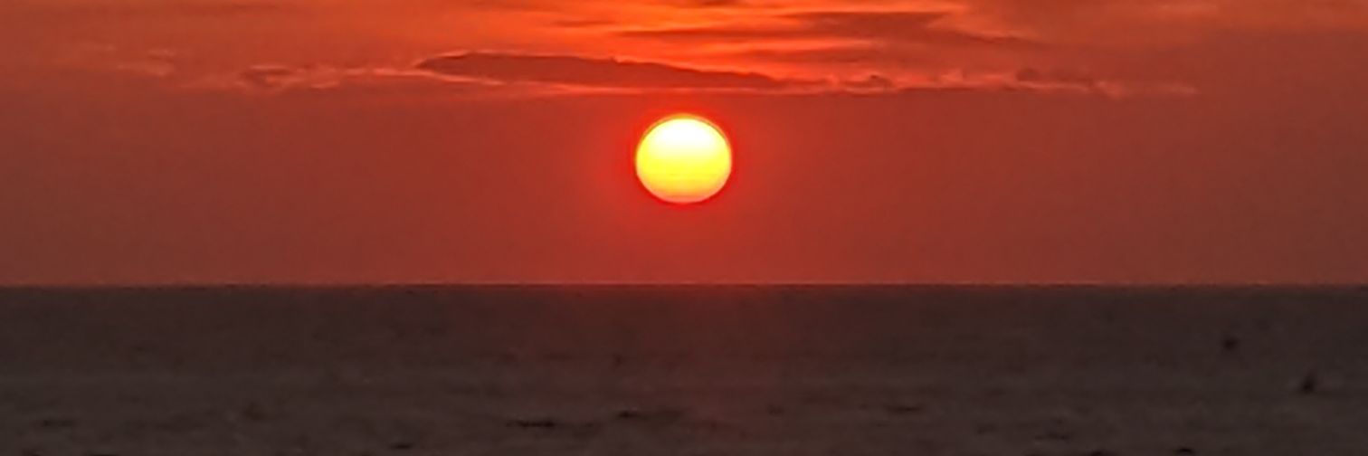 SummerHedrick's profile banner image