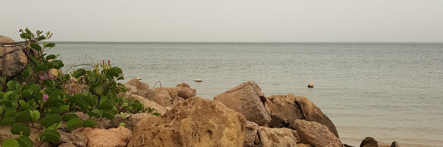 hattani1401's profile banner image