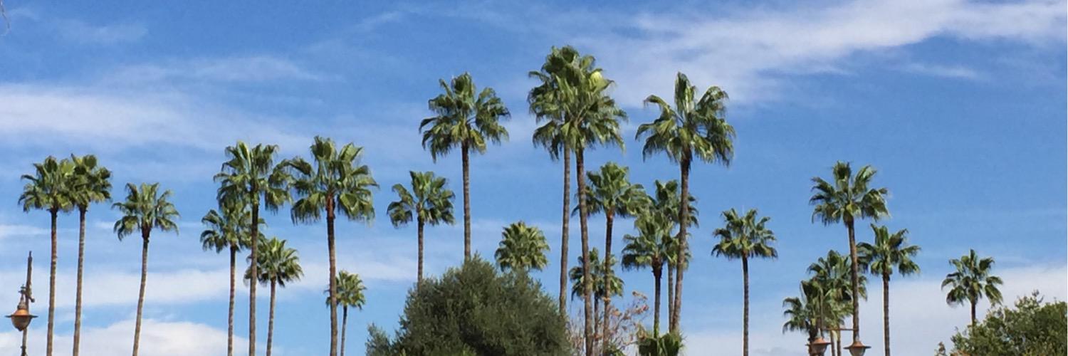 Fadl Al Tarzi banner