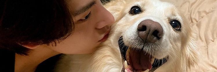 happyWithLayla's profile banner image