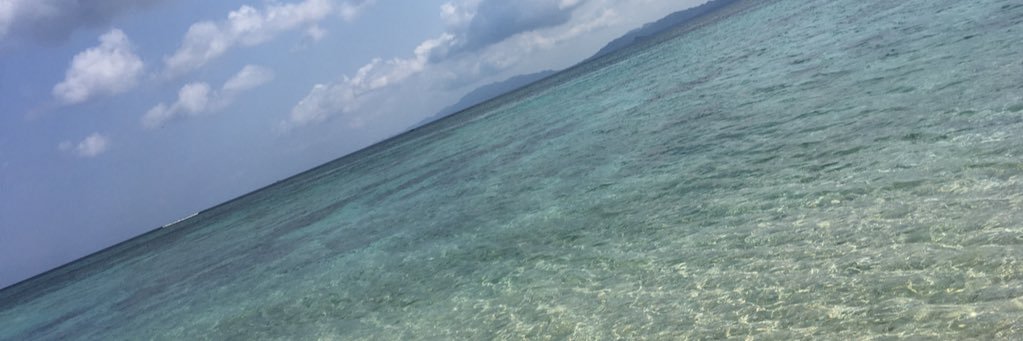sena1424's profile banner image