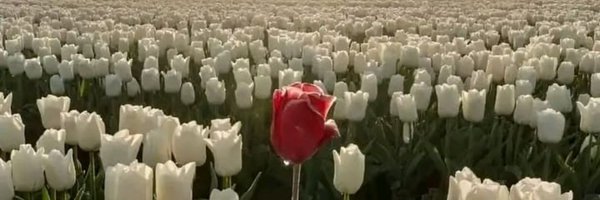 Sidwell1996 Profile Banner