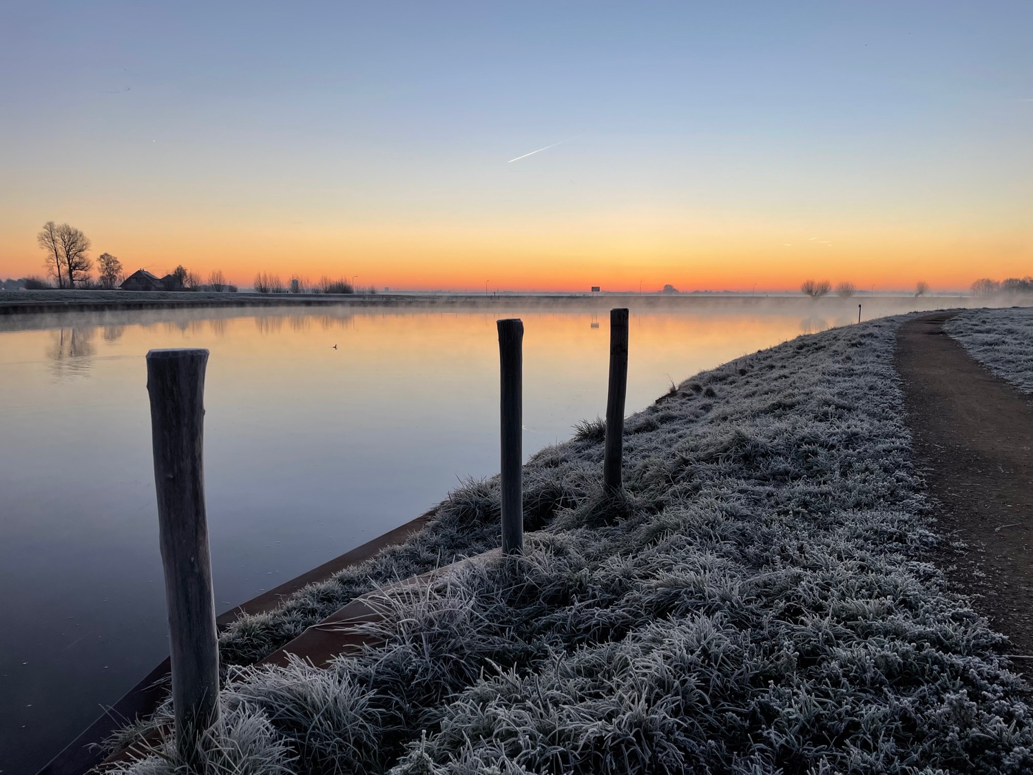 Angélique Cramer banner