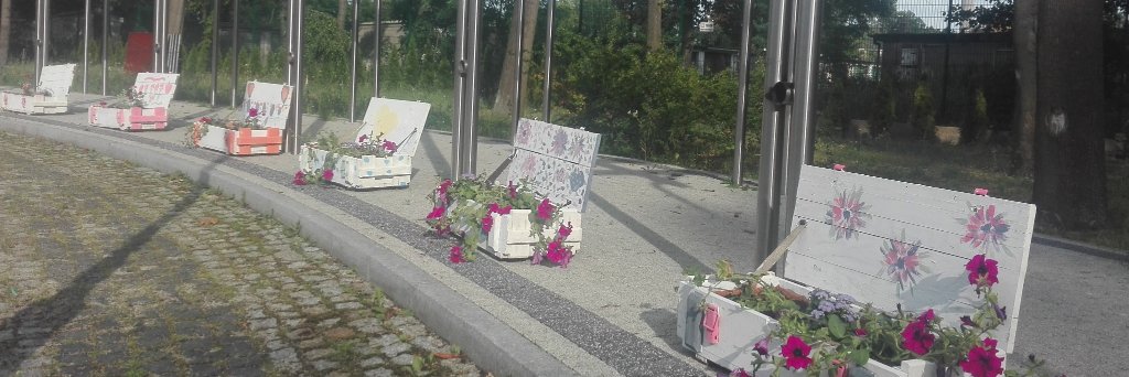 Weronika Kloc-Nowak's banner